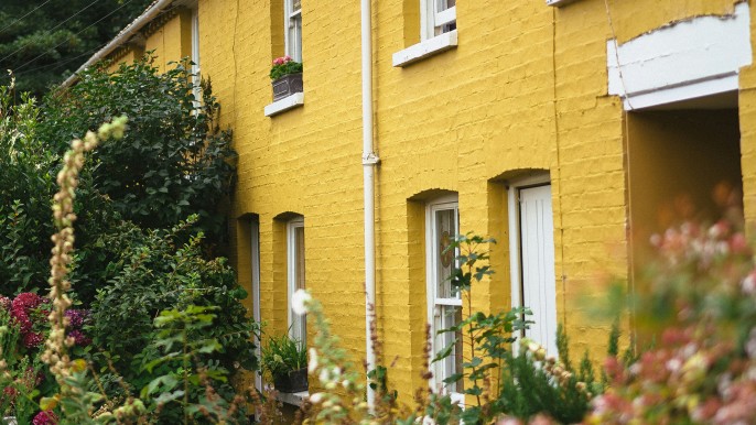 Yellow houses with gardens